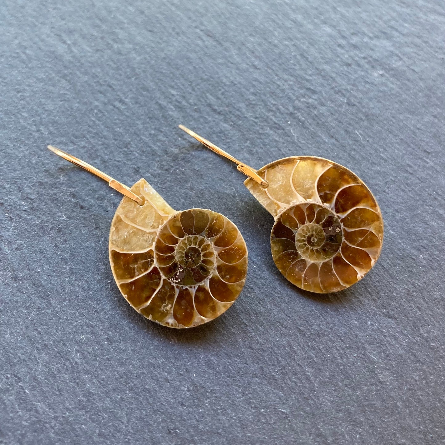 Natural Ammonite & Gold Earrings