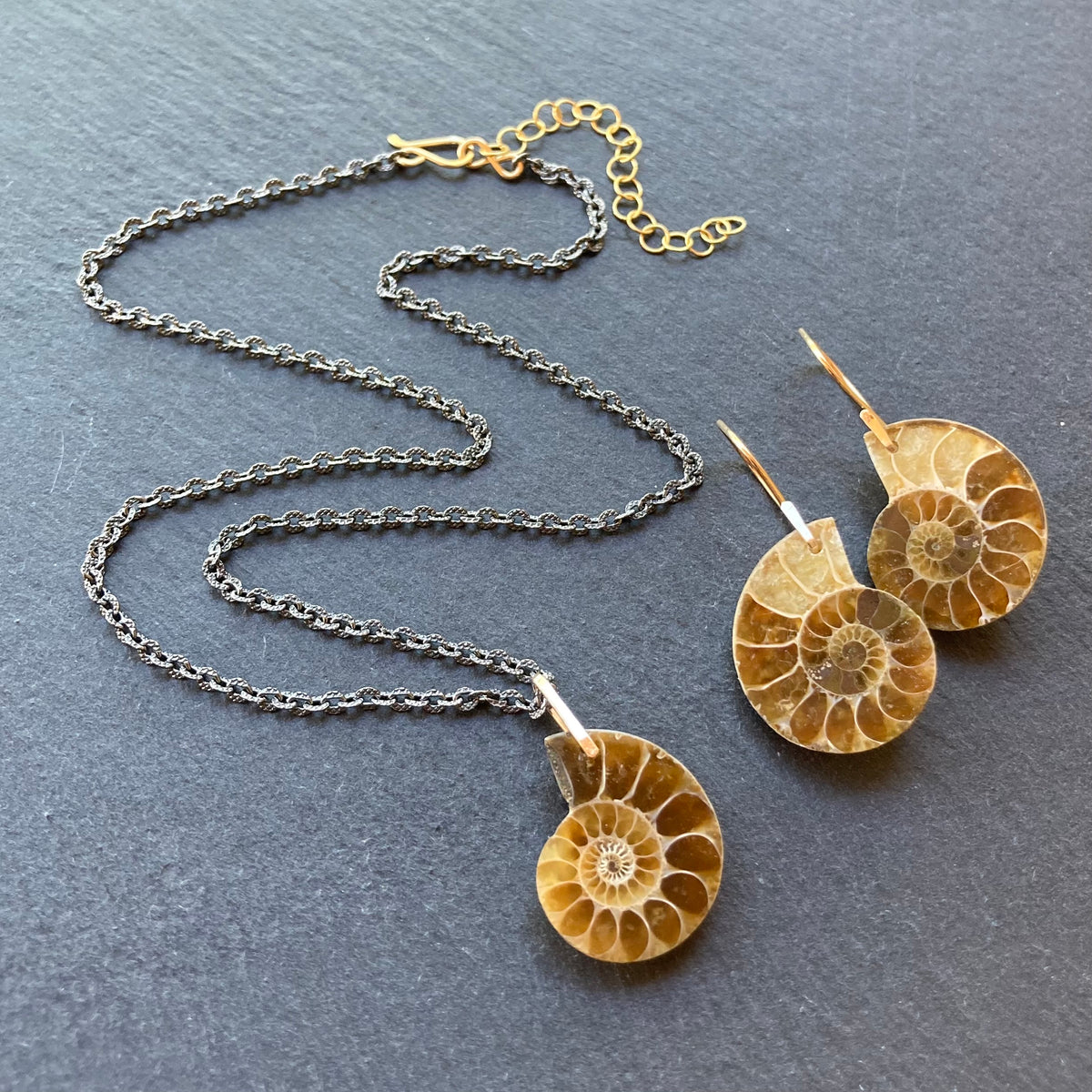 Natural Ammonite & Gold Earrings
