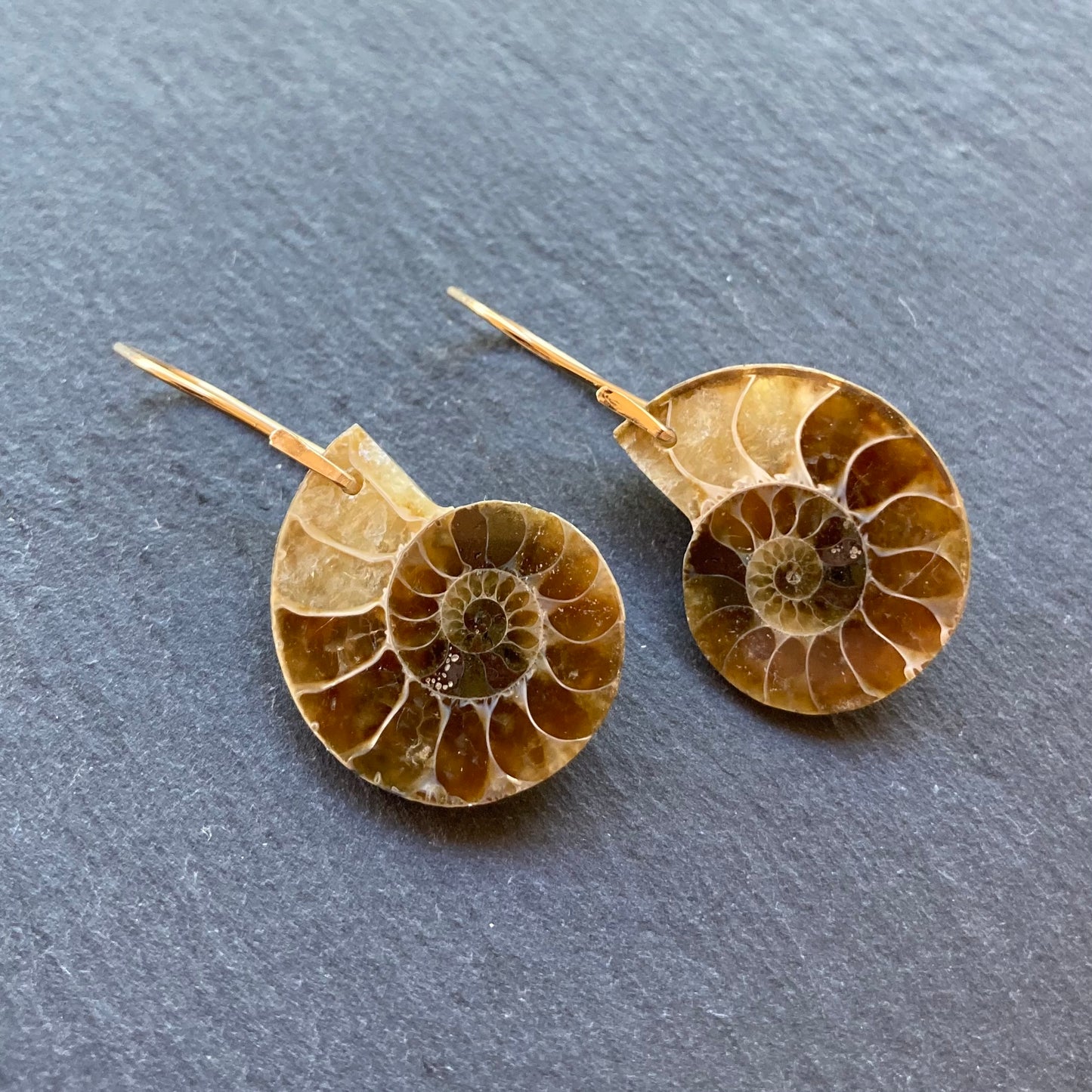 Natural Ammonite & Gold Earrings