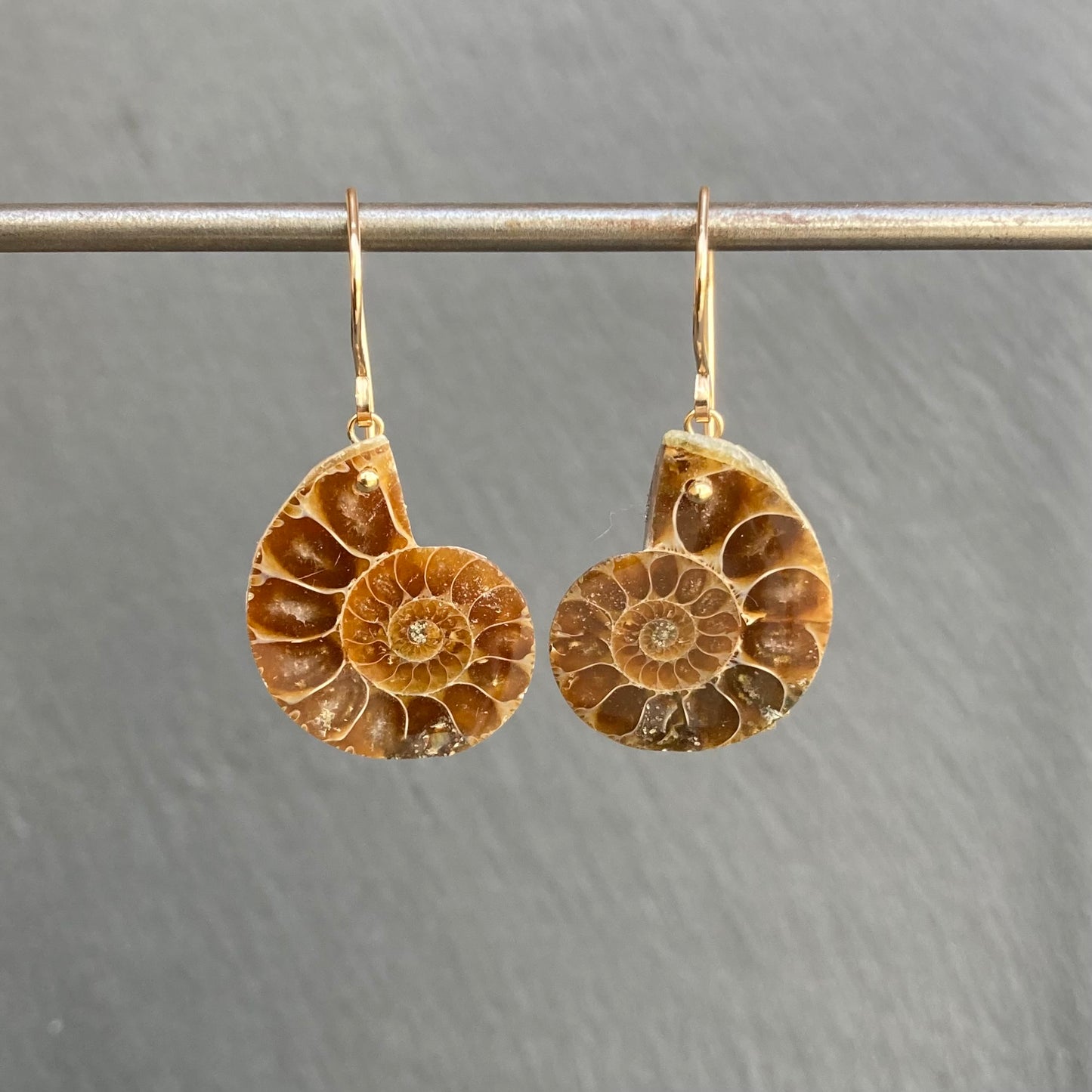Natural Ammonite & Gold Earrings