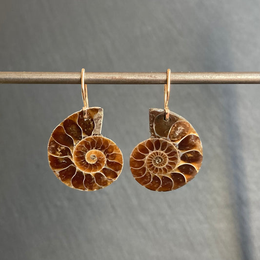 Natural Ammonite & Gold Earrings