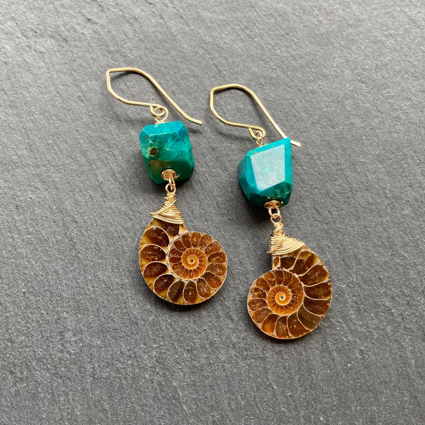 Ammonite, Chrysocolla & Gold Earrings