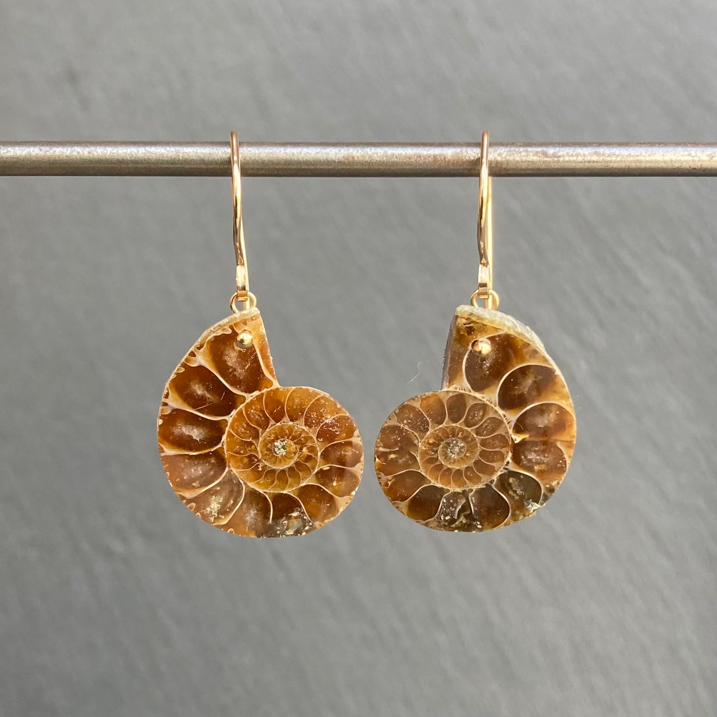 Natural Ammonite & Gold Earrings