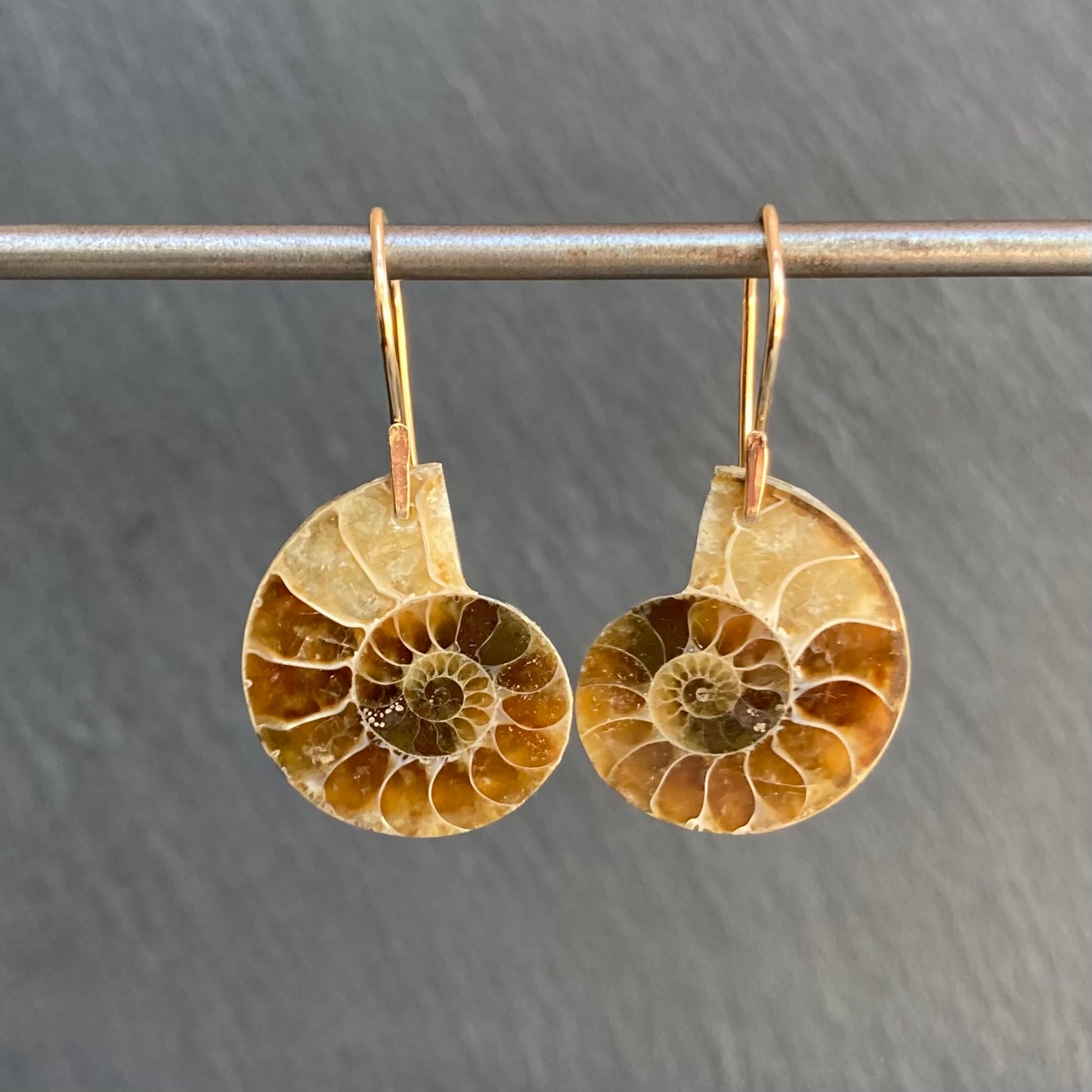 Natural Ammonite & Gold Earrings