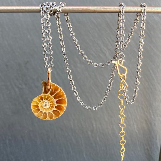Natural Ammonite & Mixed Metal Necklace
