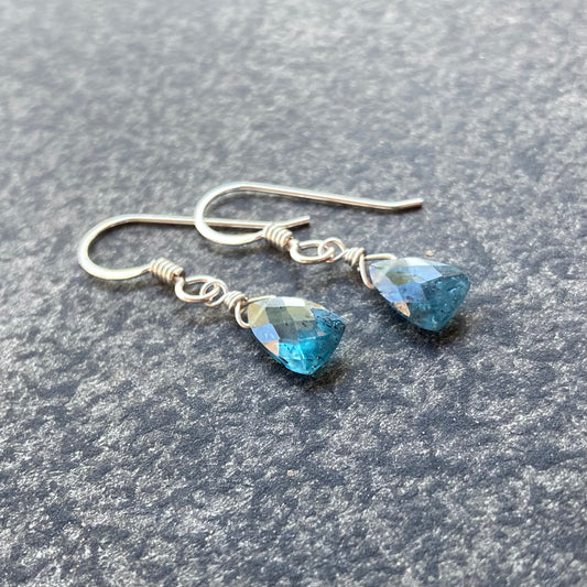 Moss Kyanite & Sterling Silver Earrings