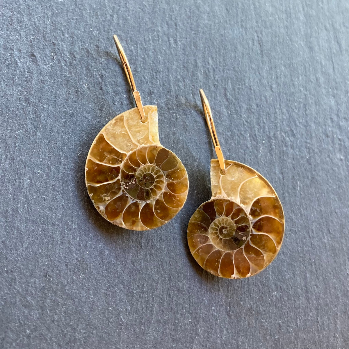 Natural Ammonite & Gold Earrings