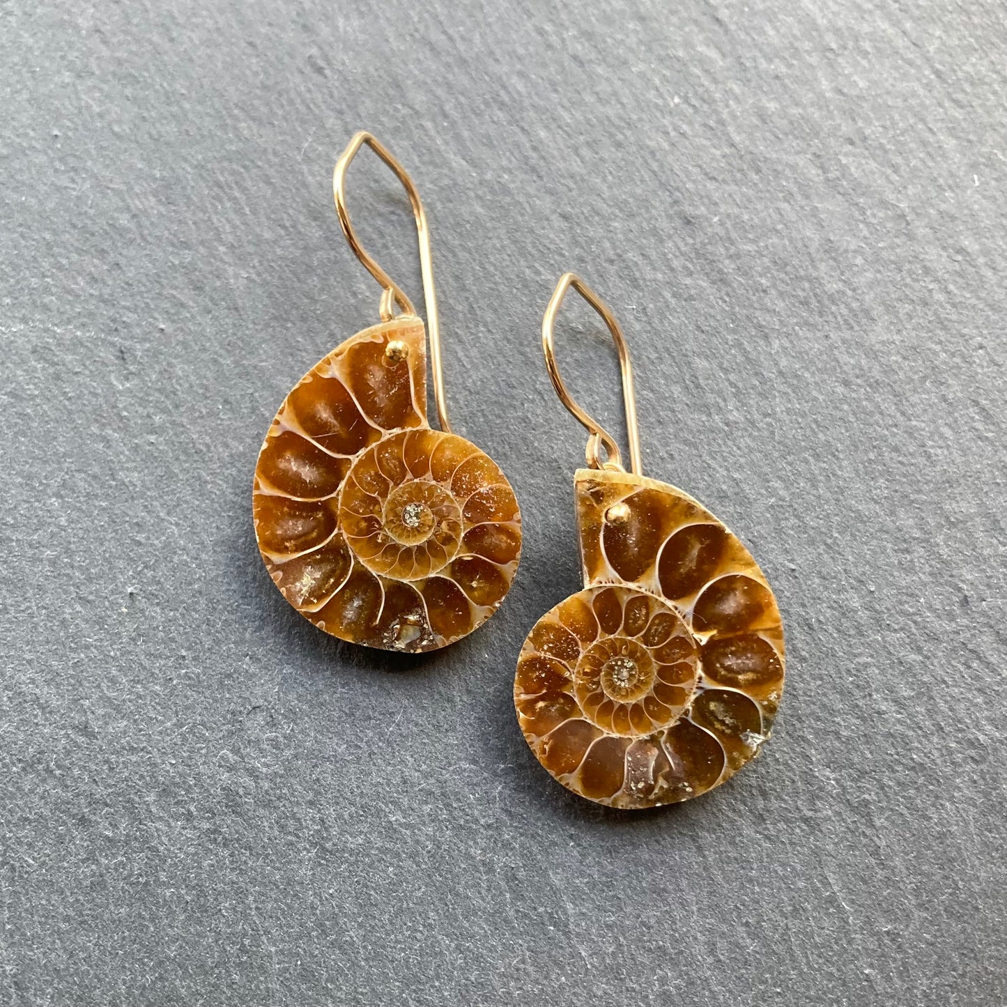 Natural Ammonite & Gold Earrings