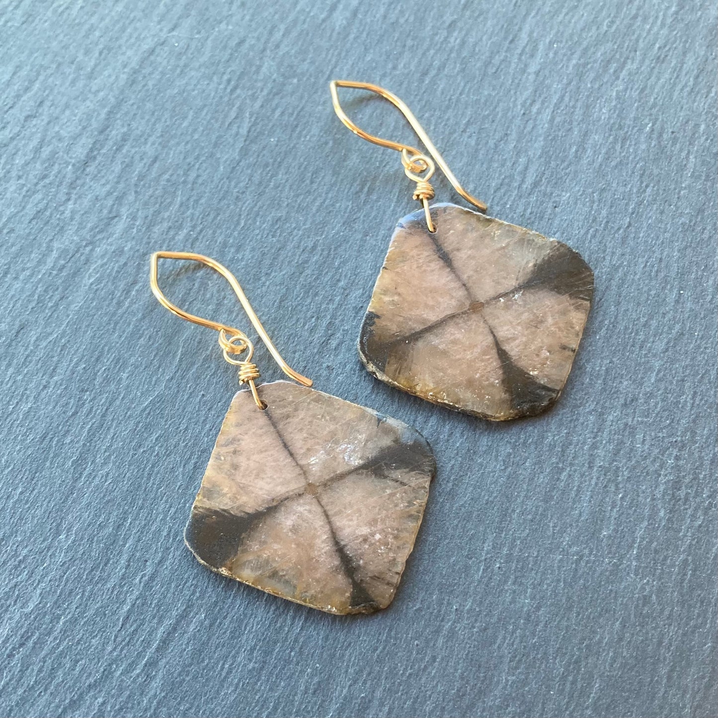 Chiastolite & Gold Earrings