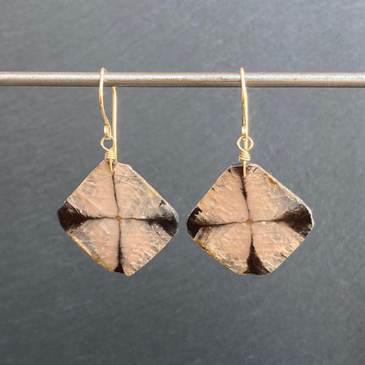 Chiastolite & Gold Earrings