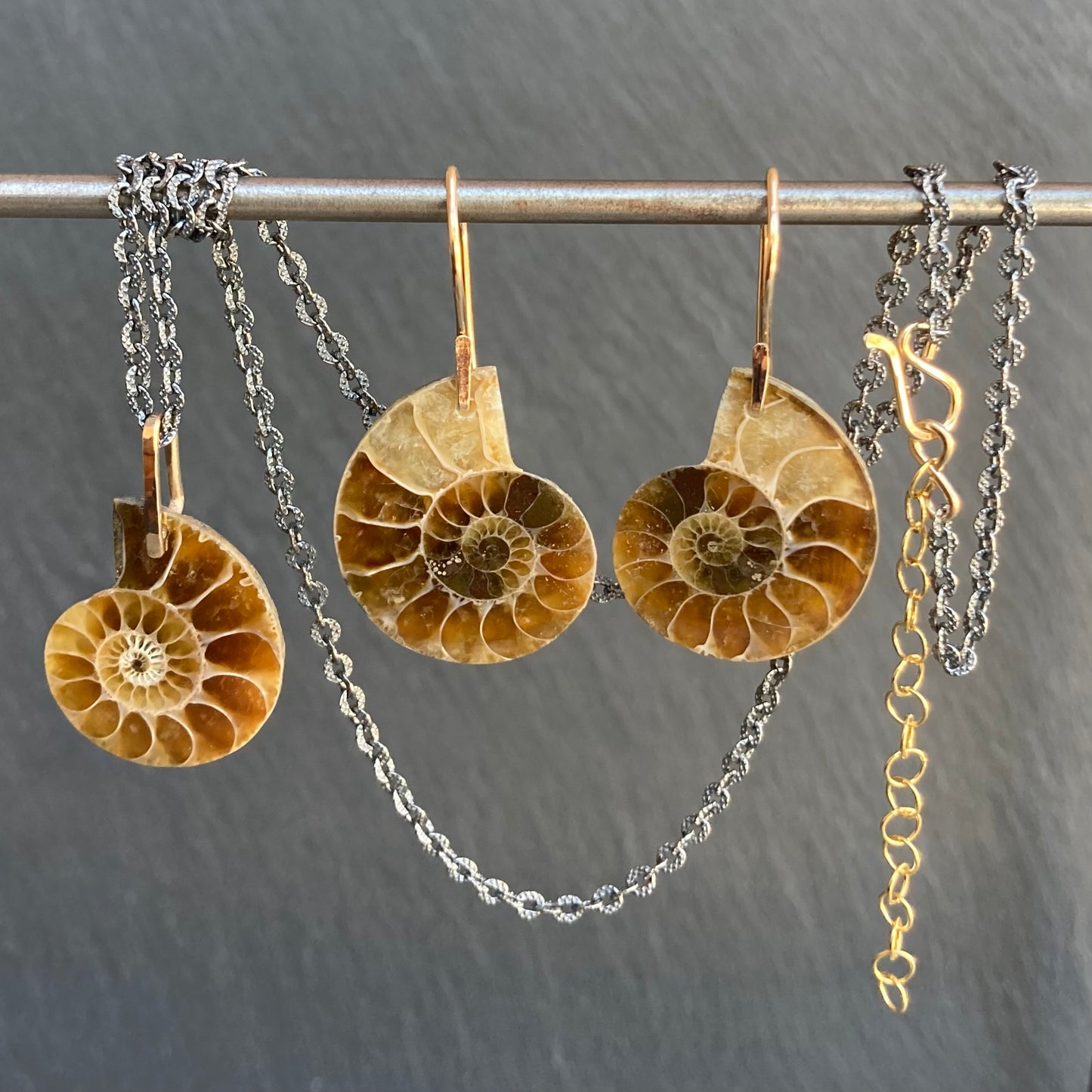 Natural Ammonite & Gold Earrings
