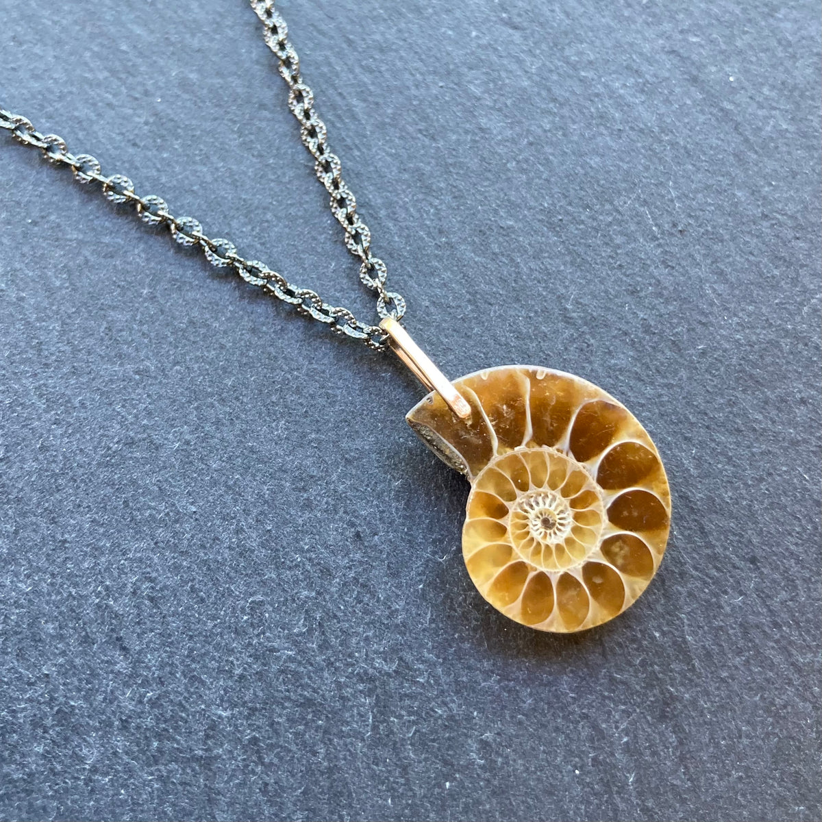 Natural Ammonite & Mixed Metal Necklace