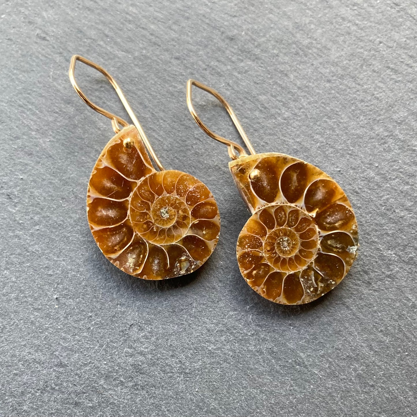 Natural Ammonite & Gold Earrings